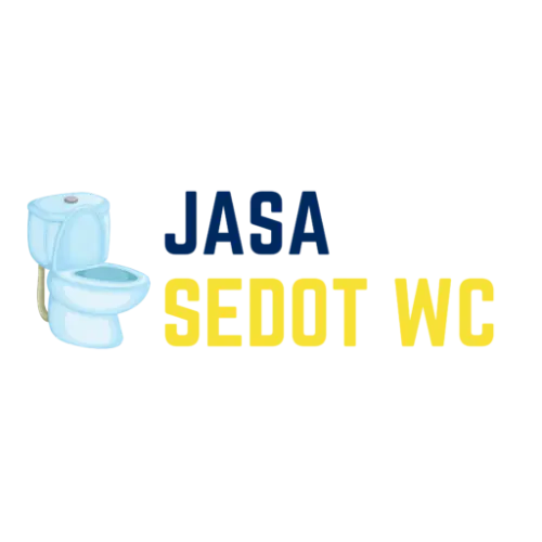 Sedot WC Mampet  di Seminyak